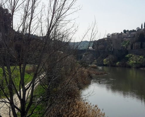 Río Tajo y Alcázar